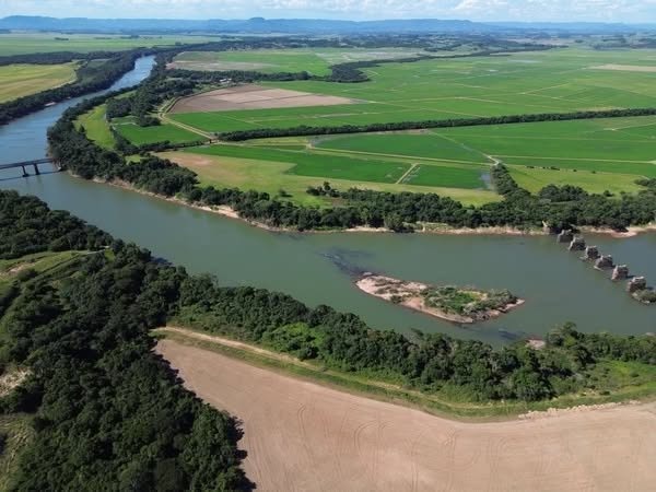Da minha terra (também) guarani